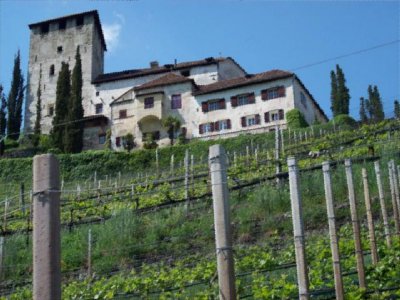 Schloss Lebensberg